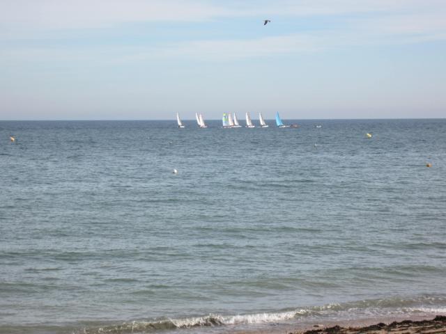 img_7934.jpg
