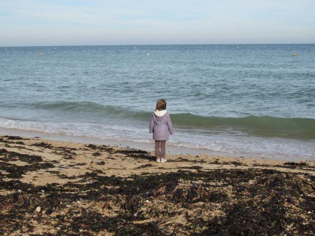 img_7937.jpg