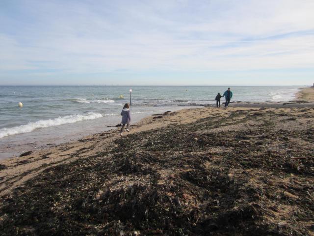 img_7939.jpg