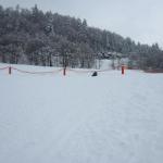 img_8247.jpg
