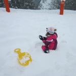 img_8253.jpg