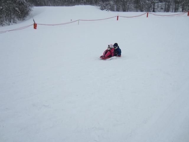 img_8259.jpg