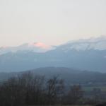 img_8261.jpg
