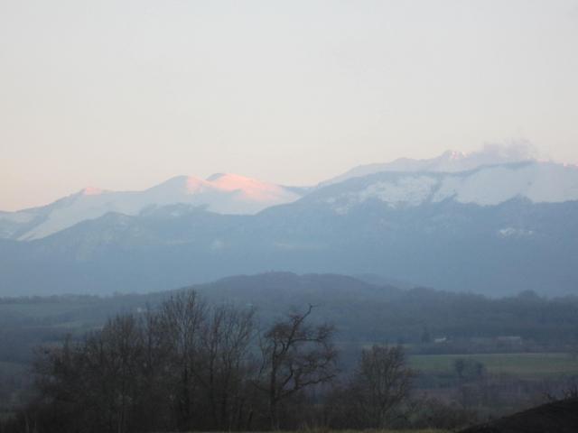 img_8261.jpg