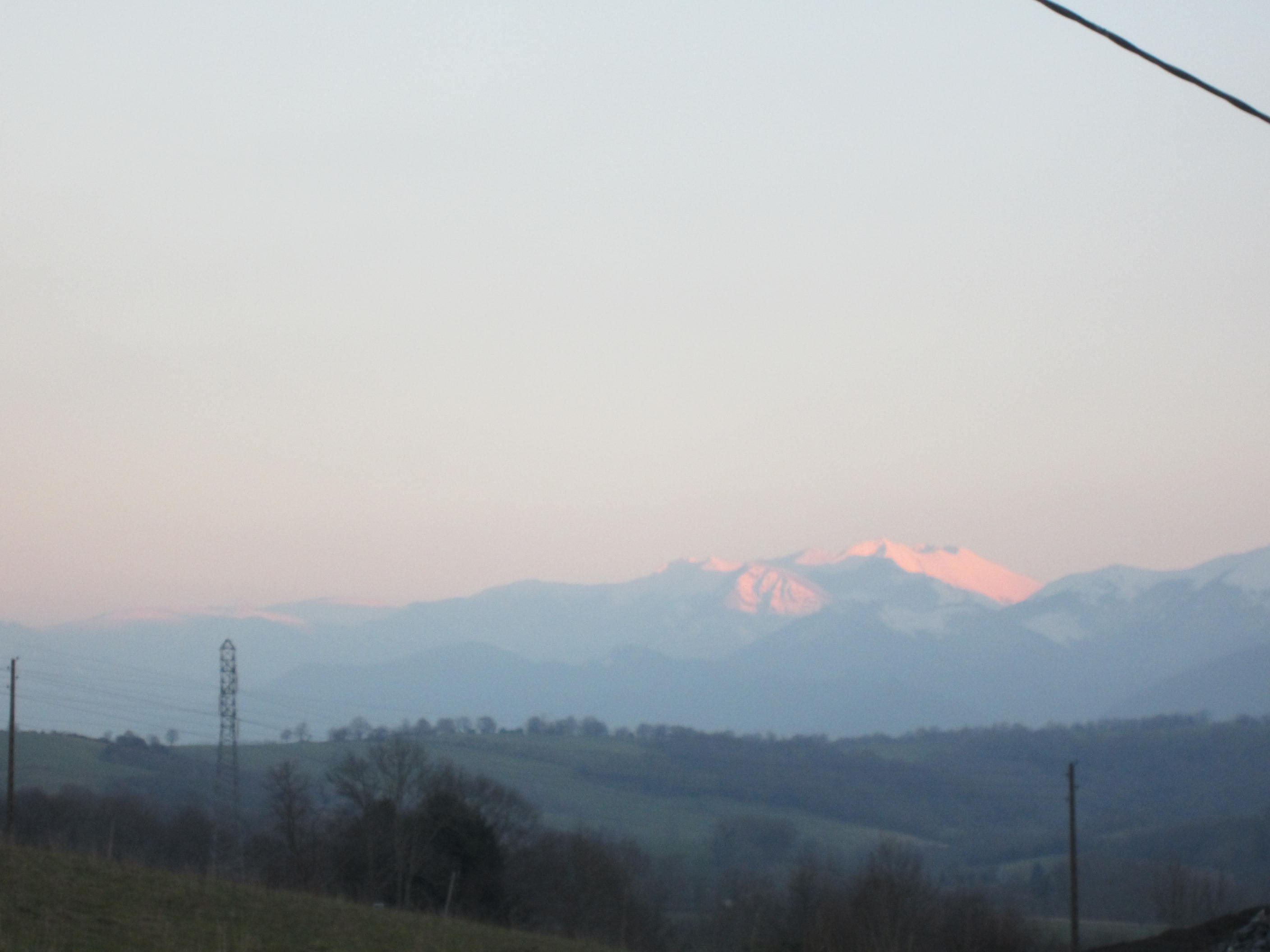 img_8262.jpg