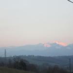 img_8262.jpg
