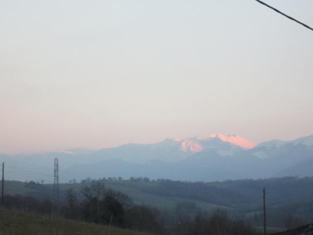 img_8262.jpg
