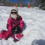 img_8267.jpg