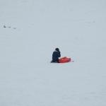 img_8285.jpg