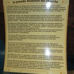 img_8322.jpg