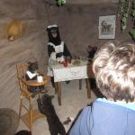 img_8331.jpg