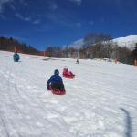 img_8354.jpg