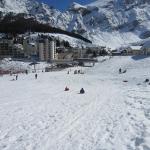 img_8355.jpg