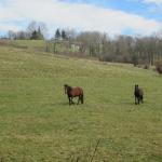 img_8365.jpg