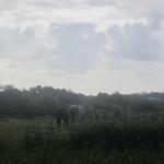 img_20160523-092355.jpg