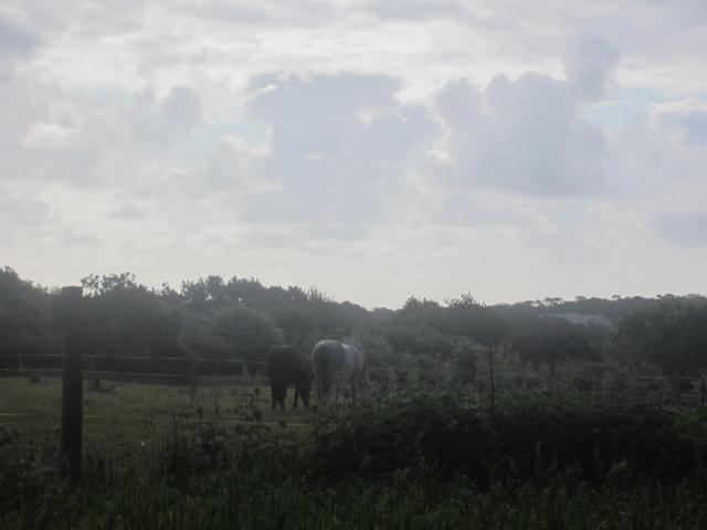 img_20160523-092355.jpg