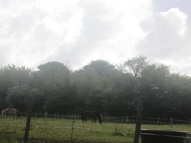 img_20160523-092439.jpg