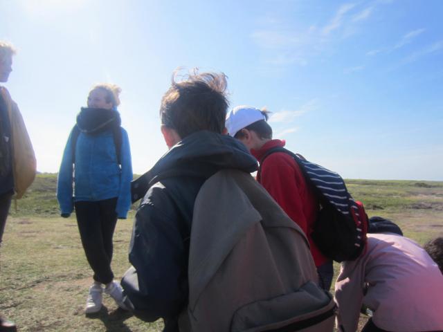 img_20160524-101823.jpg