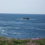 img_20160524-103316.jpg