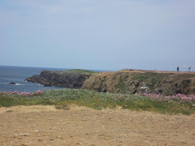 img_20160524-125504.jpg