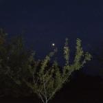 img_20160815-223704.jpg