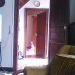 img_20160820-141338.jpg