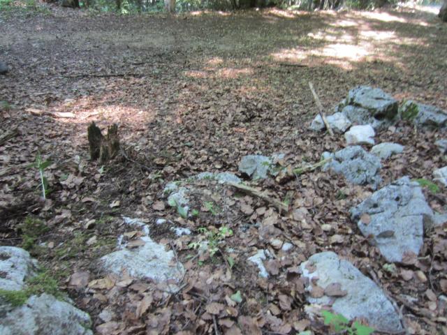 img_20160719-163520.jpg