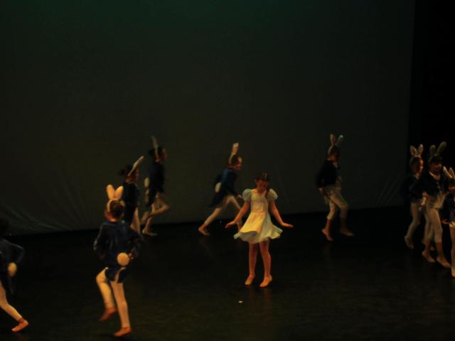img_8584.jpg