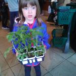 Lucie  et les plants de tomates