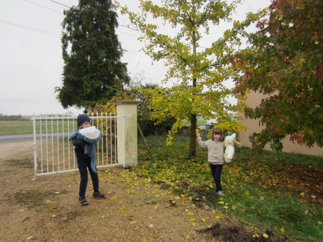 img_20161113-104649.jpg