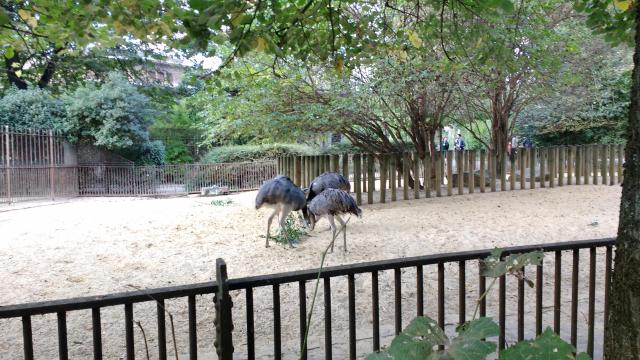 img_20161009_164239731.jpg