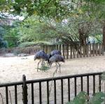 Zoo