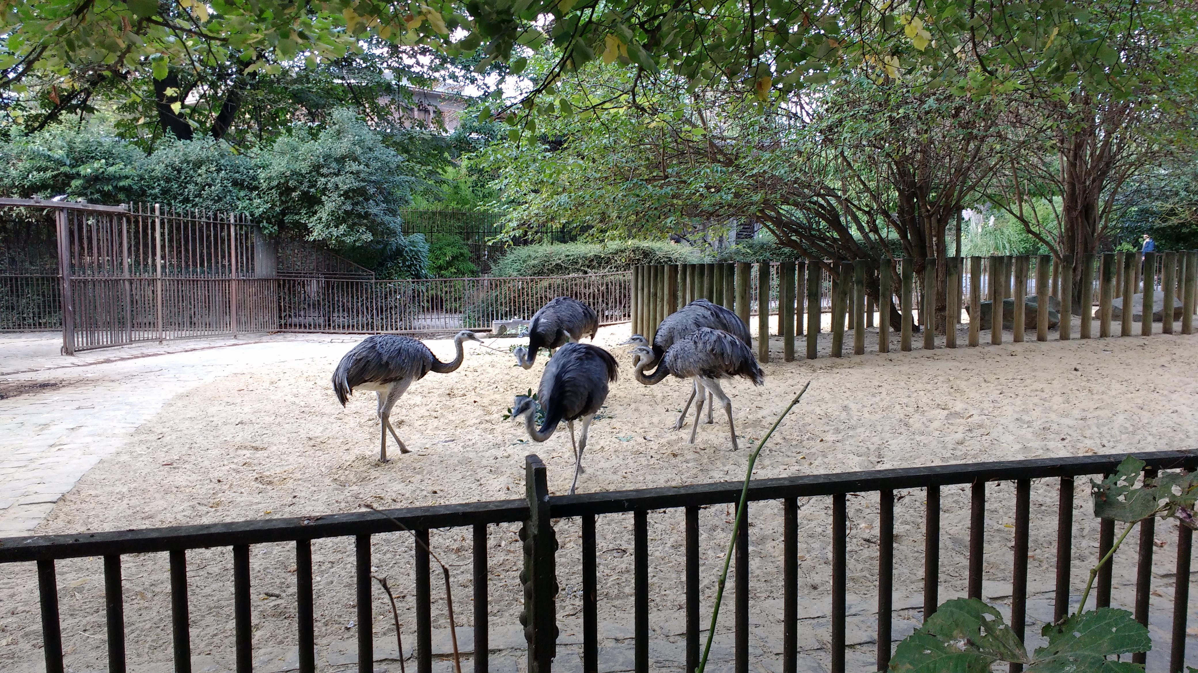 img_20161009_164247390.jpg