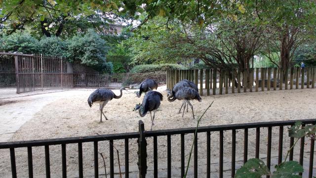 img_20161009_164247390.jpg