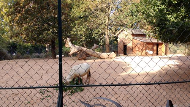 img_20161009_165002122.jpg