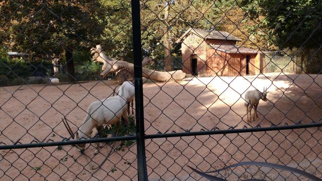 img_20161009_165022935.jpg