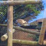img_20161009_171403008.jpg
