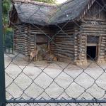 img_20161009_173306871.jpg