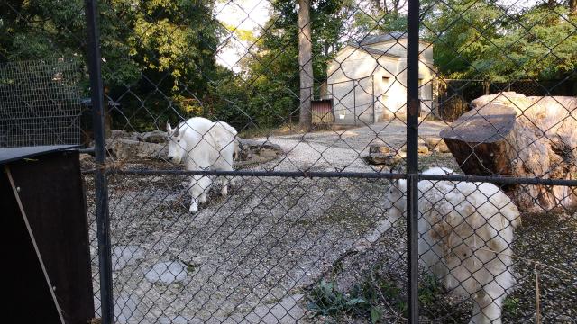 img_20161009_174212881.jpg