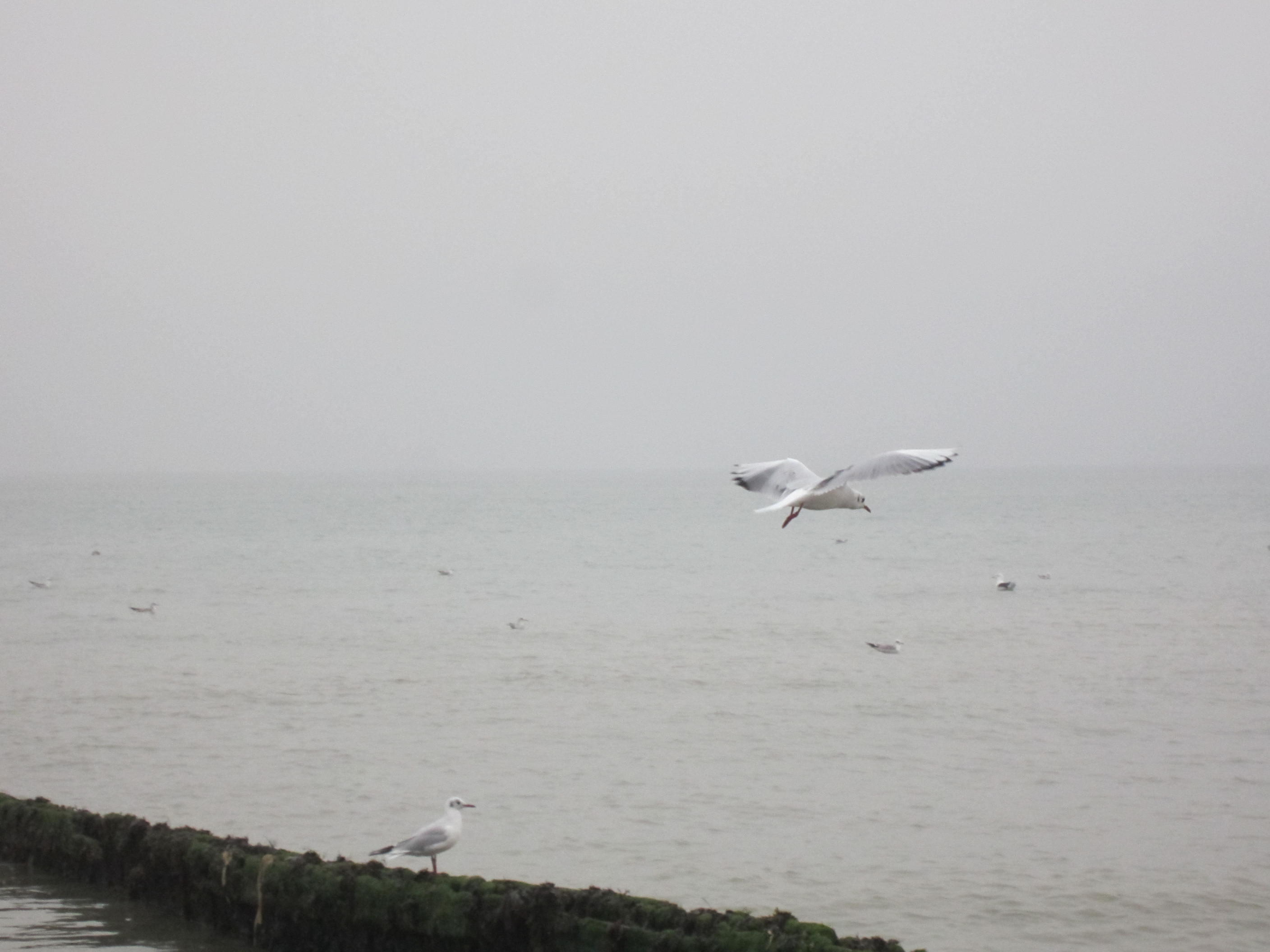 img_20161025-181434.jpg