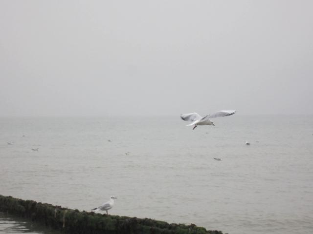 img_20161025-181434.jpg