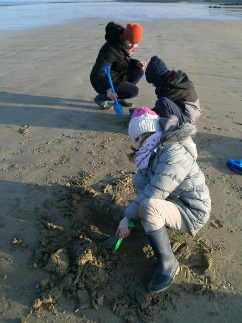 img_20170209-165611.jpg
