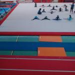 img_0310.jpg