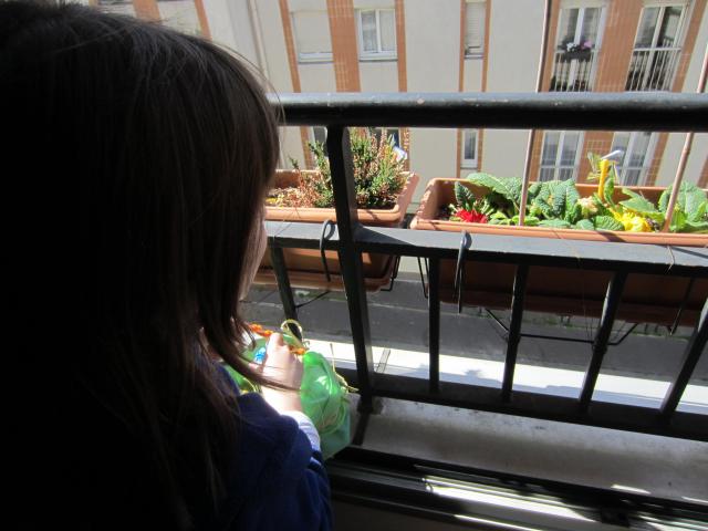 IMG_8923.JPG