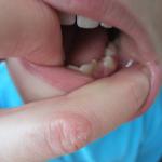 IMG_8955.JPG