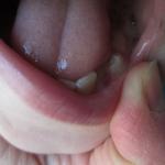 IMG_8956.JPG