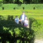 IMG_9035.JPG