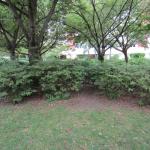 IMG_9081.JPG