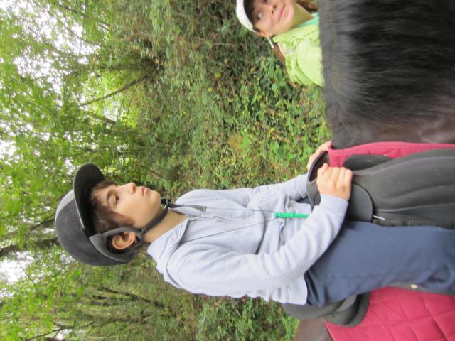IMG_9321.JPG