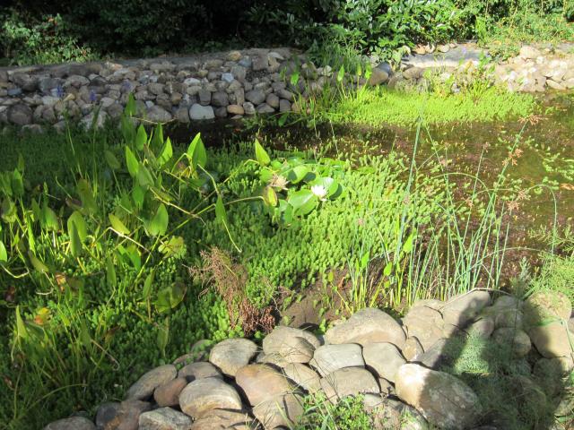 IMG_9328.JPG
